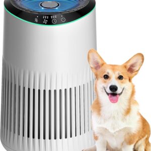 81528tqydfl. ac sx679 .jpg